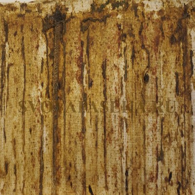 Прополисный холстик - фото 4616