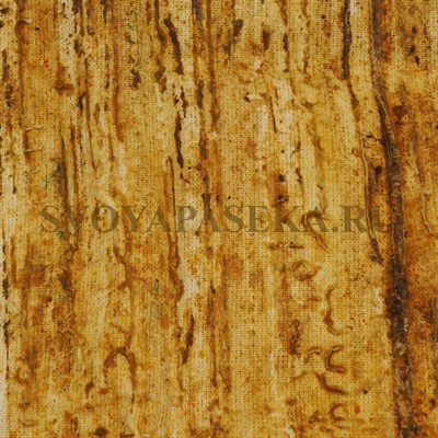 Прополисный холстик - фото 4617