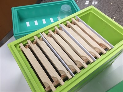 Нуклеус для пчёл на 6 рамок Дадан ППУ с глухим дном - фото 4814