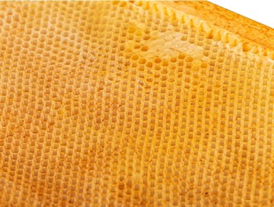 Рамка суши для пчёл Рута. - фото 4890 Рамка суши для пчёл Рута. - фото 4890