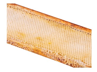 Рамка суши для пчел Магазин - фото 4892